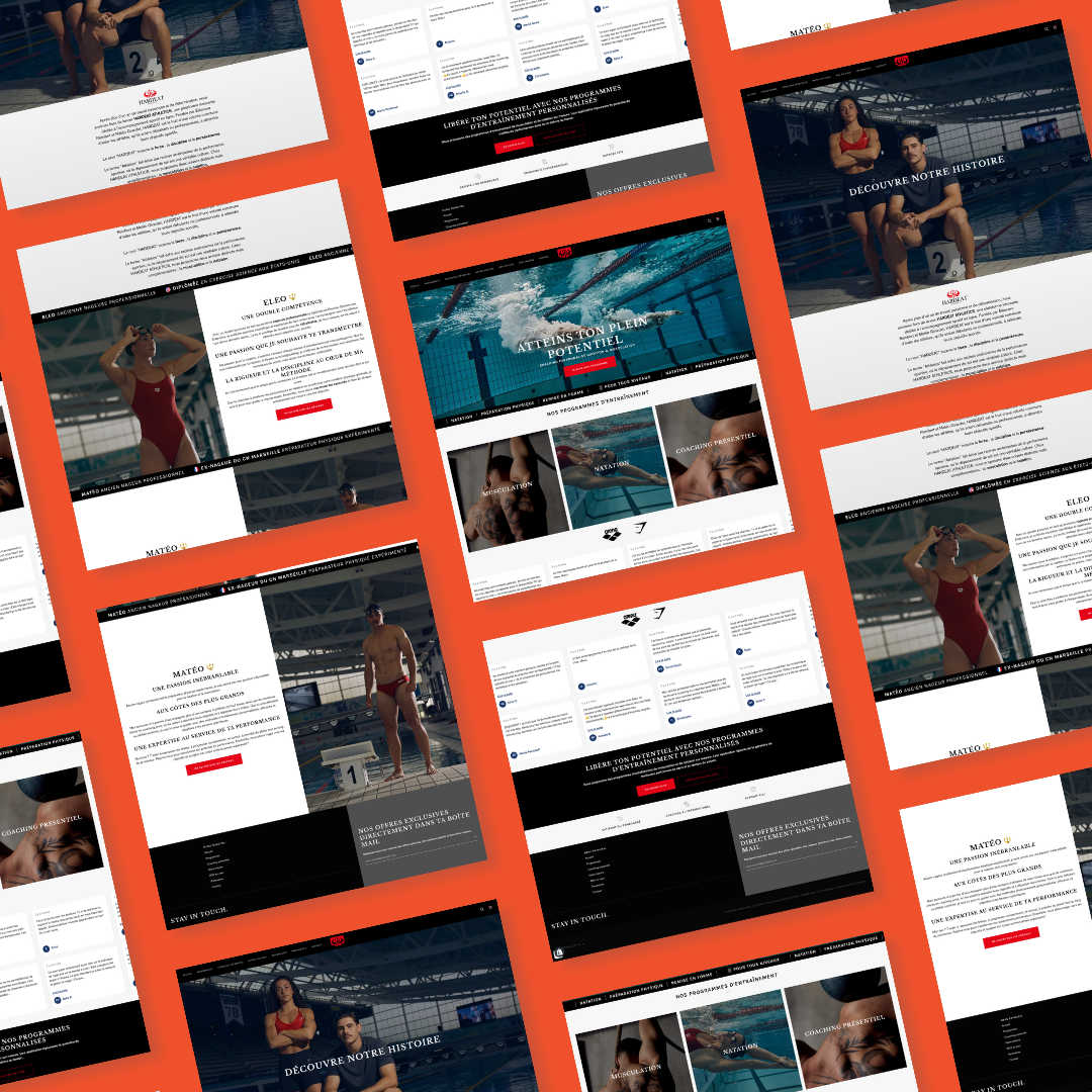 Projet web , Projet freelance Shopify