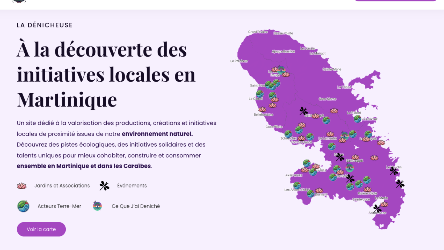 la dénicheuse home page